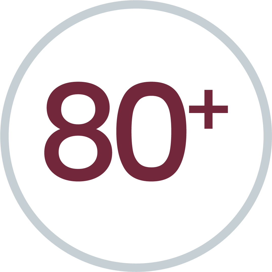 80+ icon