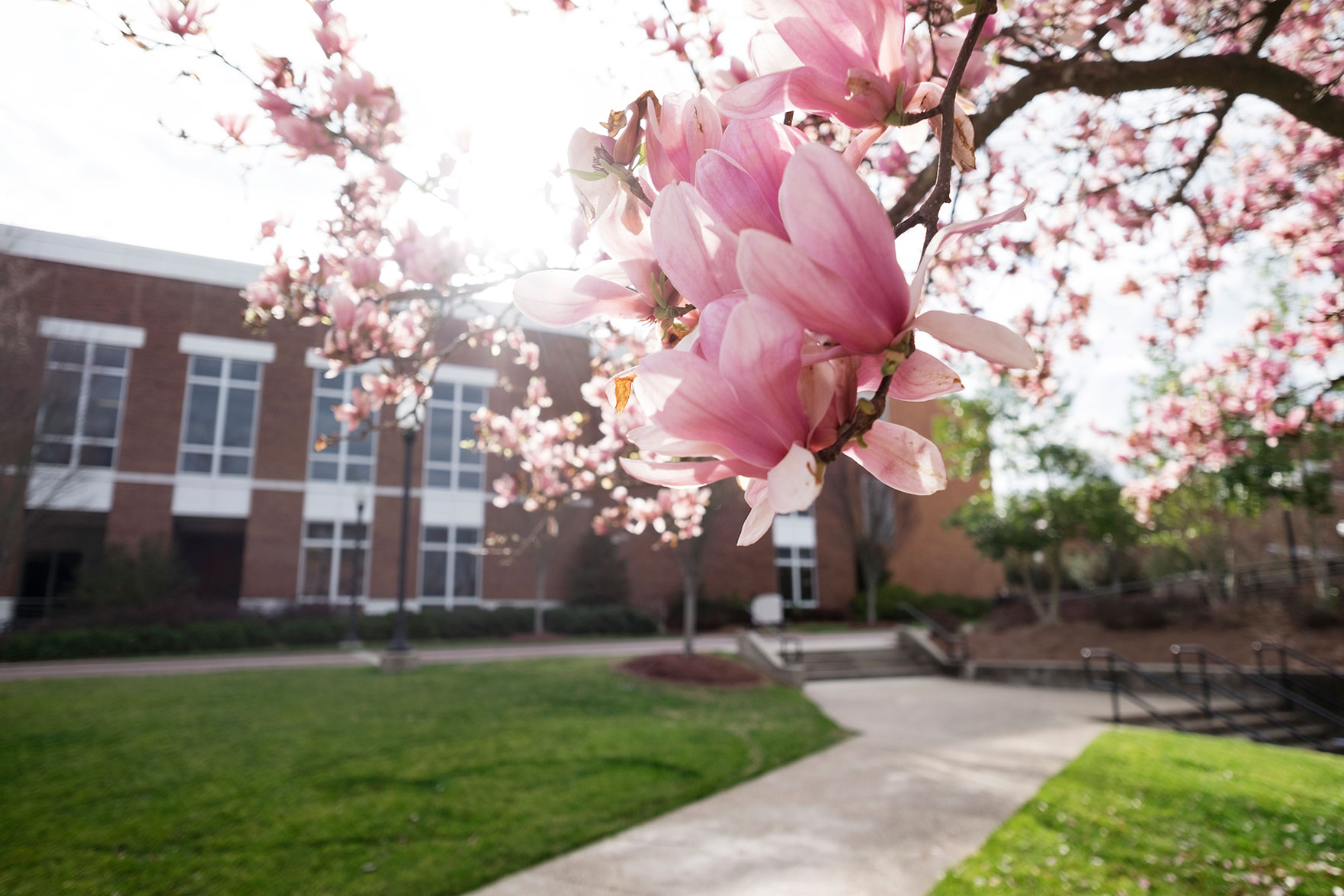 Flowers in front of the Student Union