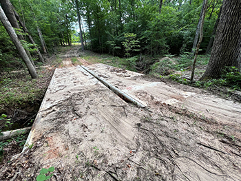 A bridge connecting two sections of a dirt road within a forest